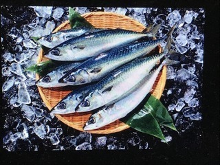 IMG_4293-thumbnail2.jpg