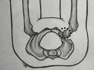 IMG_5241.jpeg