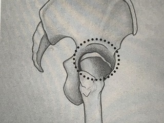 IMG_5245.jpeg