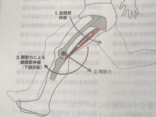 IMG_5252.jpeg