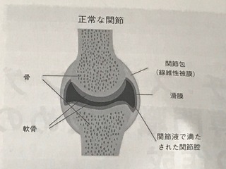 IMG_5288.jpeg