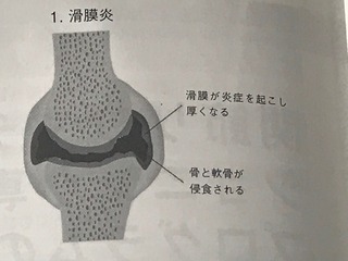 IMG_5289.jpeg