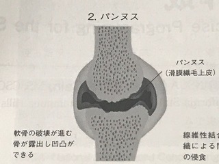 IMG_5290.jpeg