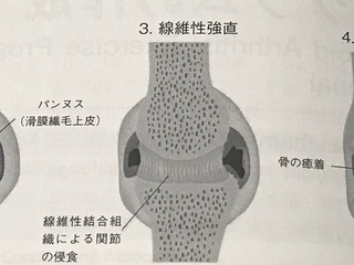 IMG_5291.jpeg