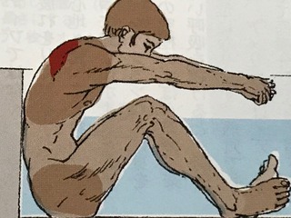 IMG_5473.jpeg