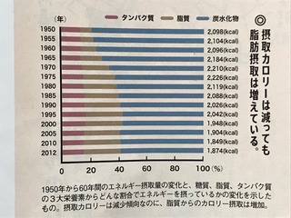 IMG_5520.jpeg