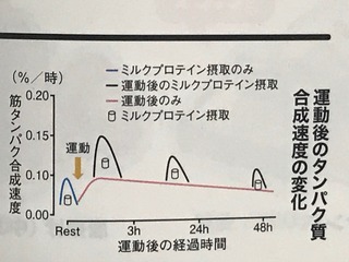 IMG_5549.jpeg
