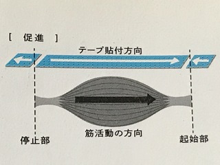 IMG_5596.jpeg