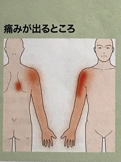 IMG_5752.jpeg
