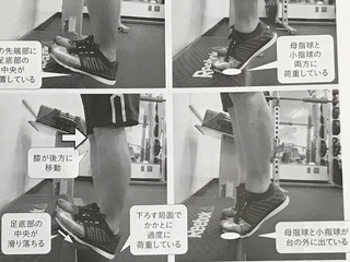 IMG_5760.jpeg