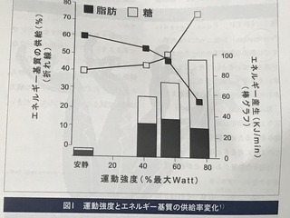 IMG_5762.jpeg
