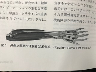 IMG_5809.jpeg