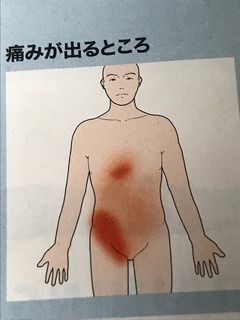 IMG_5819.jpeg